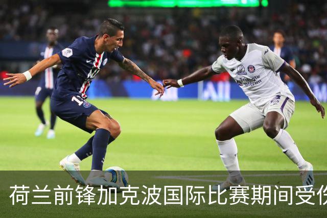 荷兰前锋加克波国际比赛期间受伤，利物浦锋线困境加剧